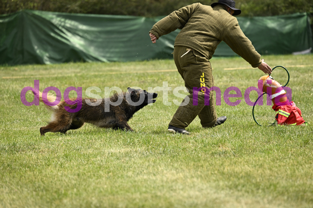 Preview _JRI_20041.jpg